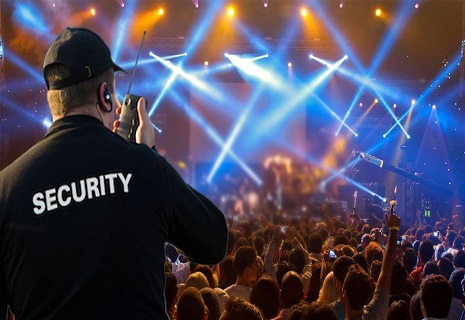 Event Security & Stewarding​